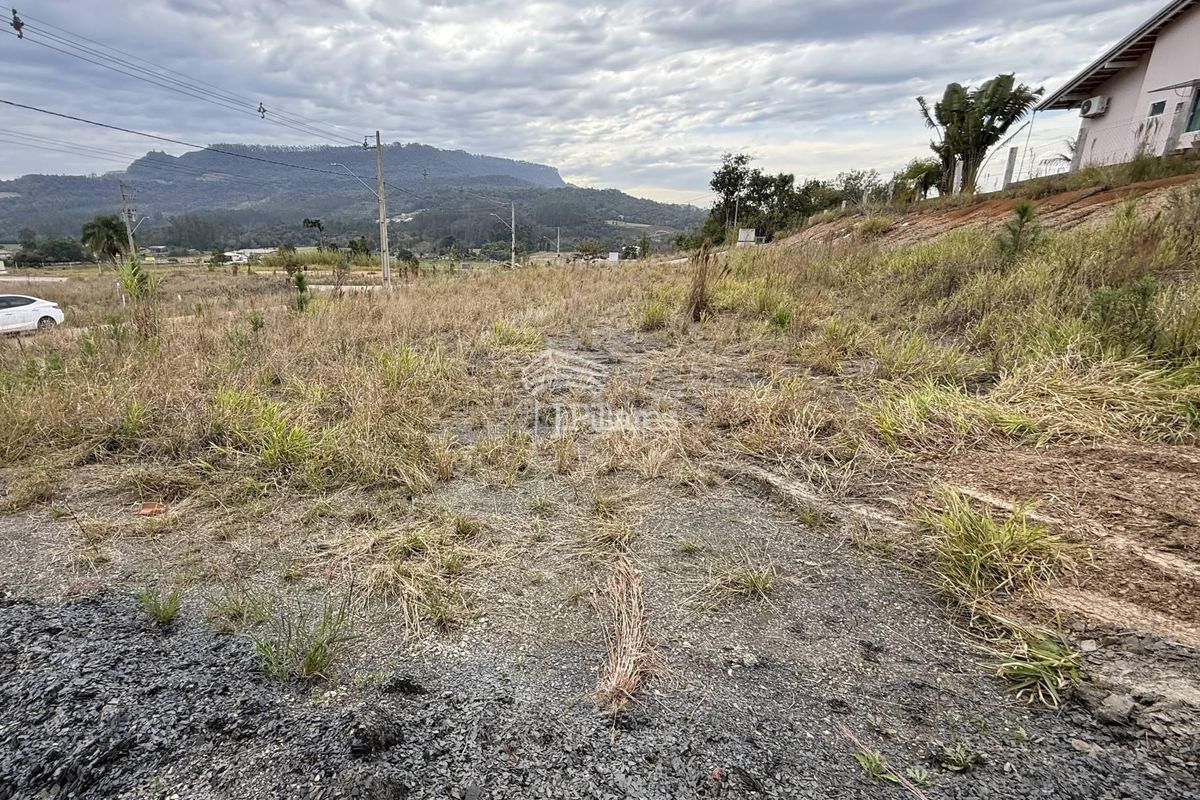 Lote/Terreno, Pioneiros - Lontras (Op 298) — foto 5