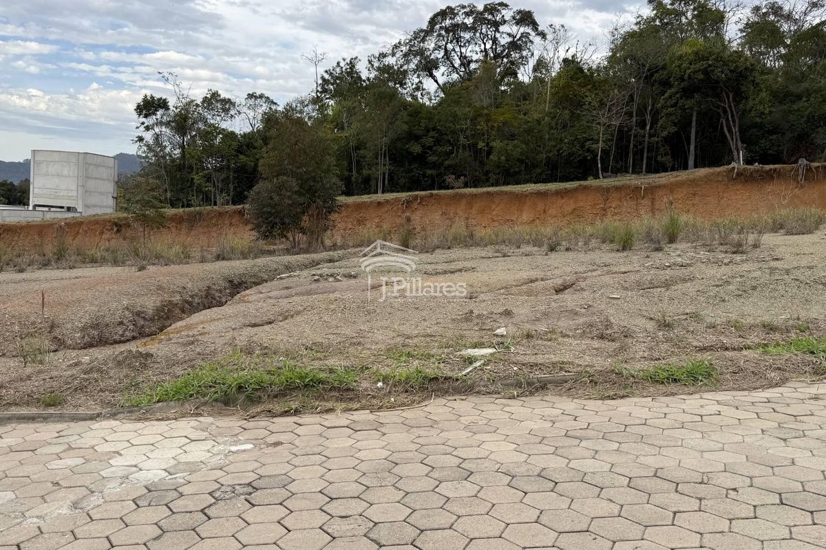 Lote/Terreno, Pioneiros - Lontras (Op 299) — foto 2