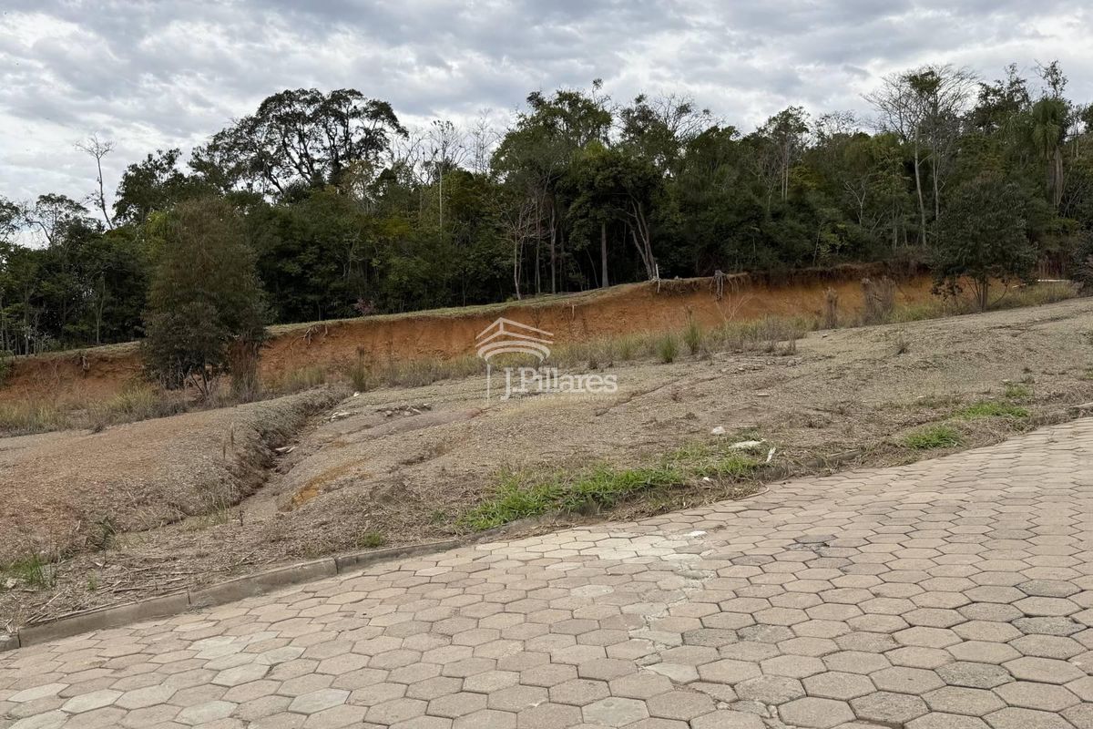 Lote/Terreno, Pioneiros - Lontras (Op 299) — foto 3