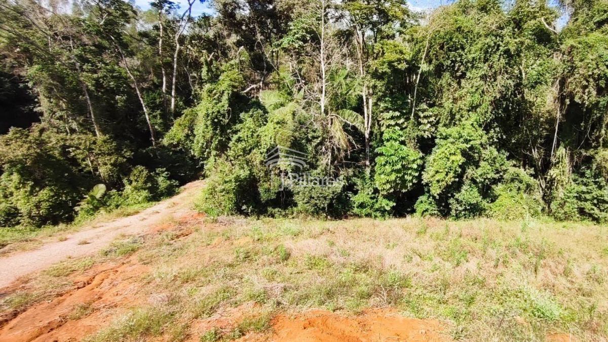 Lote/Terreno à Venda, Pomerana - Lontras (Op 254) — foto 4
