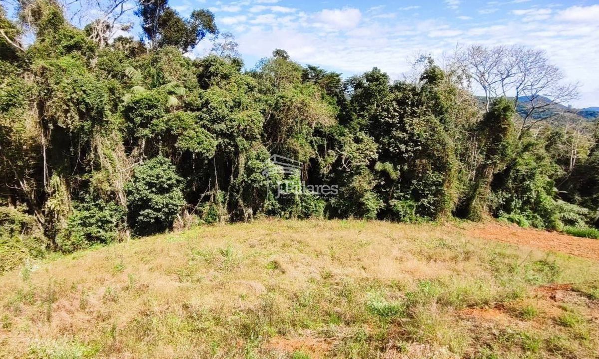 Lote/Terreno à Venda, Pomerana - Lontras (Op 254) — foto 5